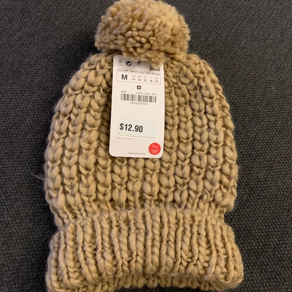 Zara pom-pom hat